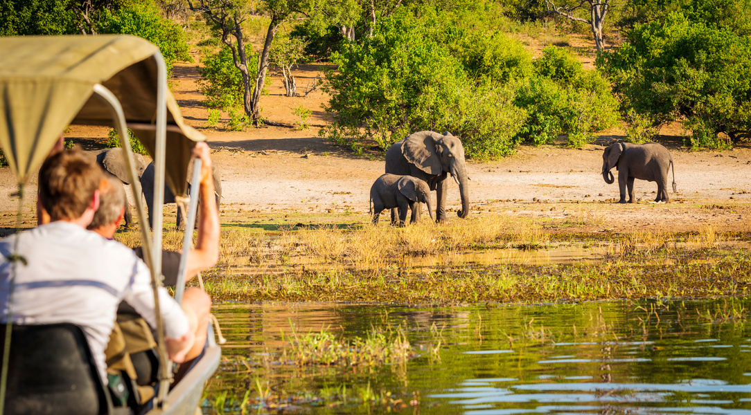 Tourists on Elephant Safari Africa